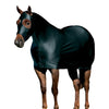 Equine Lycra® Sheets Powered by Coolcore®