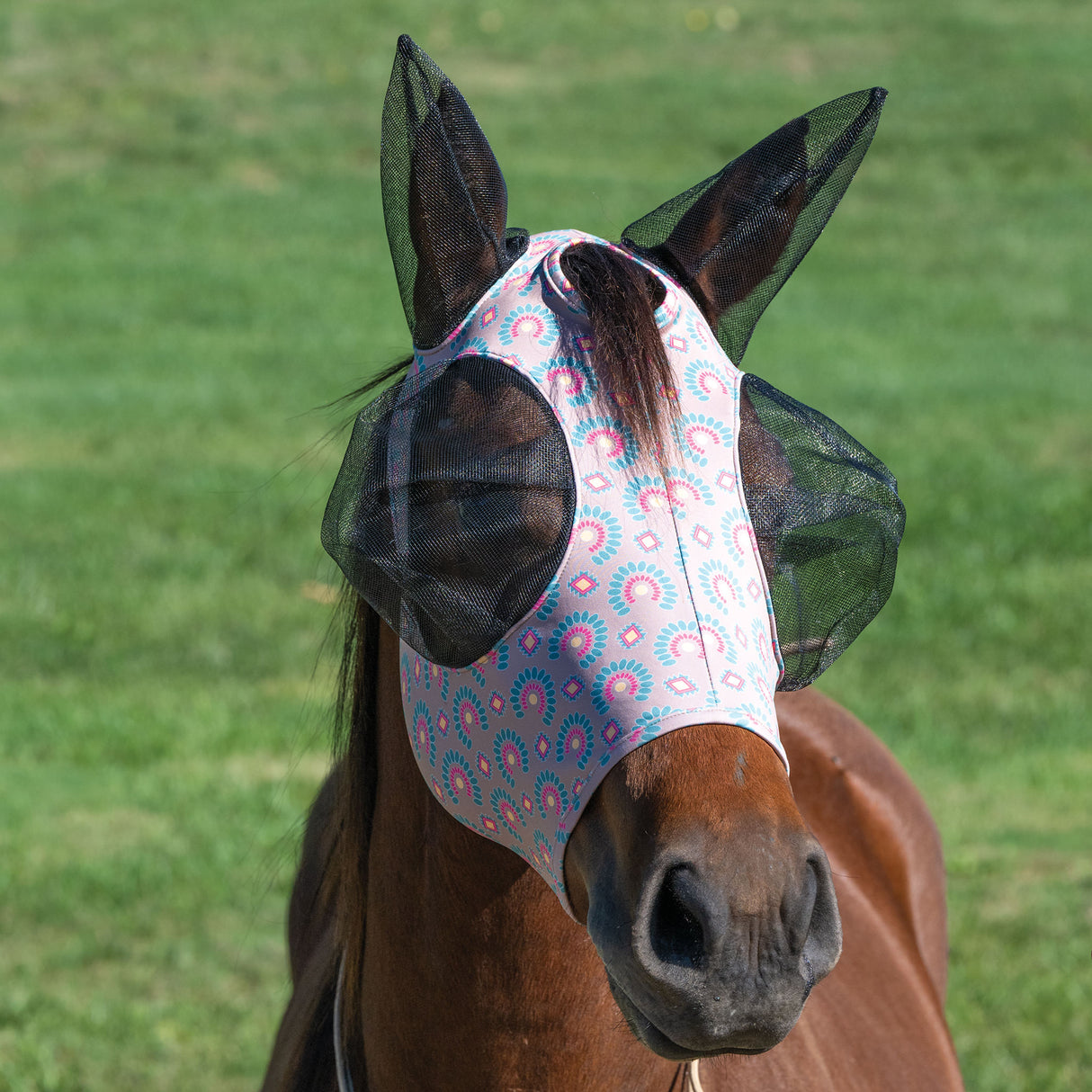 Equine Lycra® Fly Masks Powered by Coolcore®