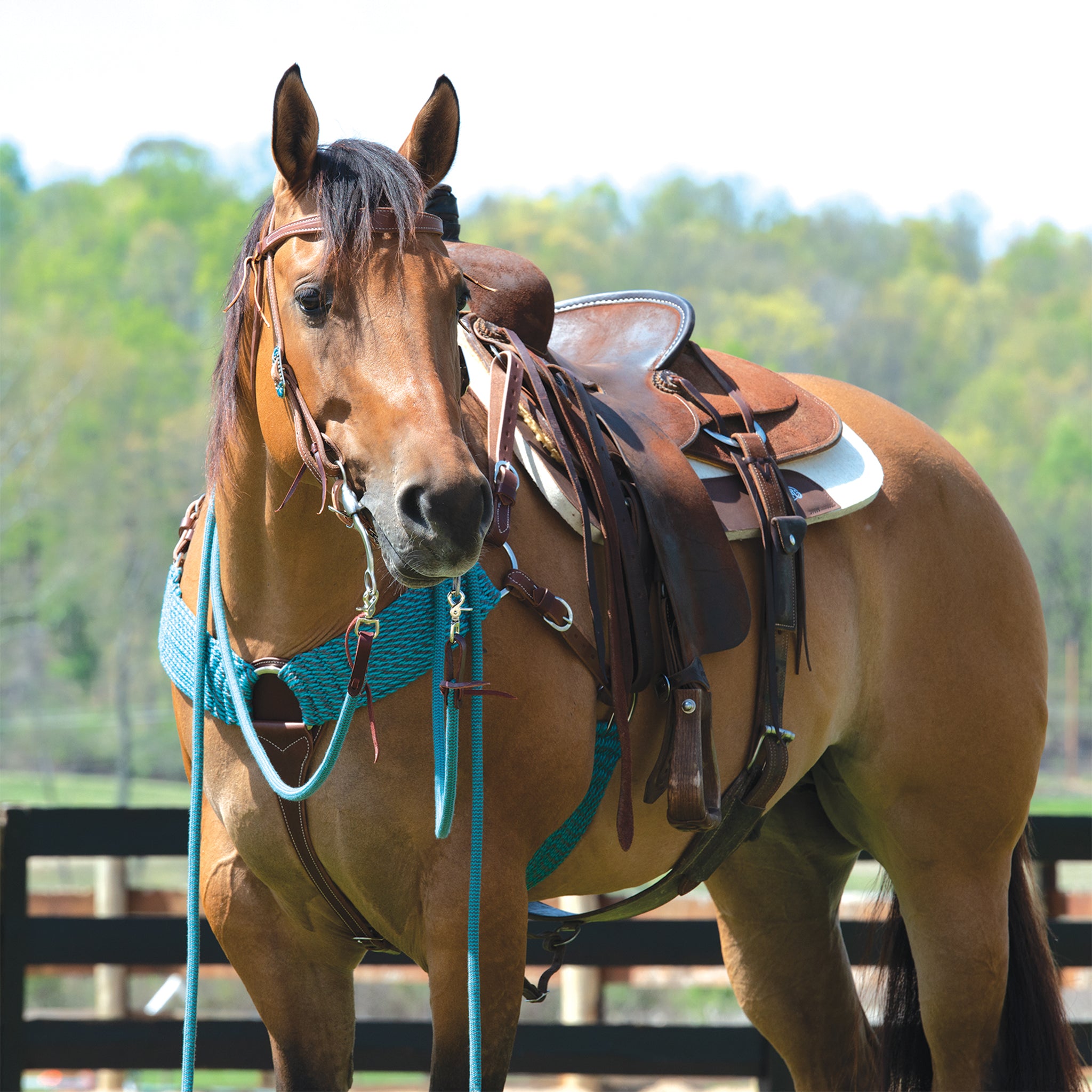 Weaver Equine EcoLuxe Split Reins - Thumbnail 2