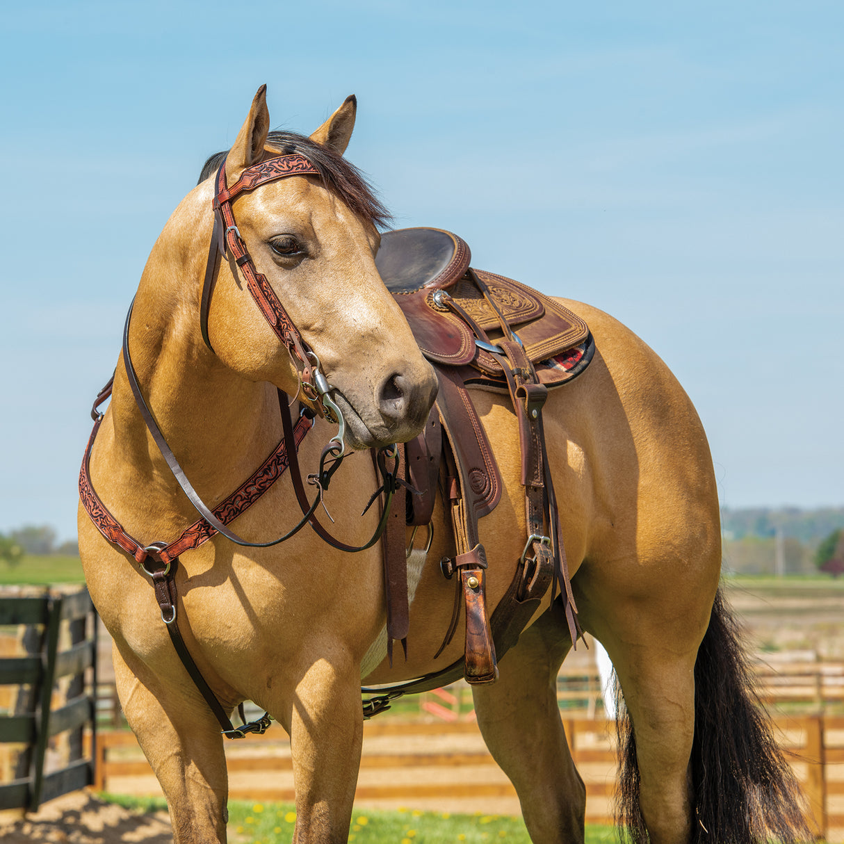 Turquoise Cross Pioneer  5/8" Headstall