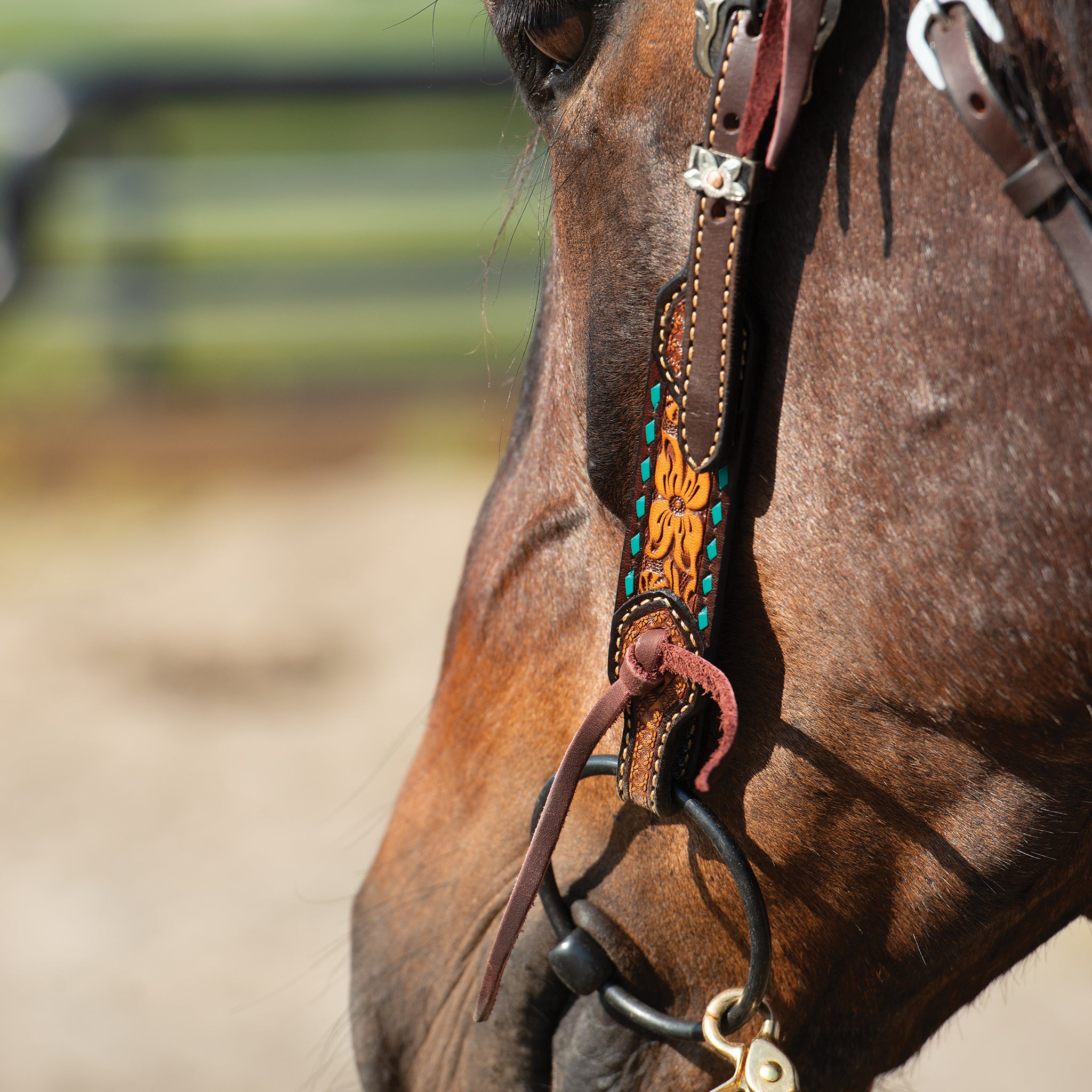 Turquoise Cross Leather Headstall – Weaver Equine