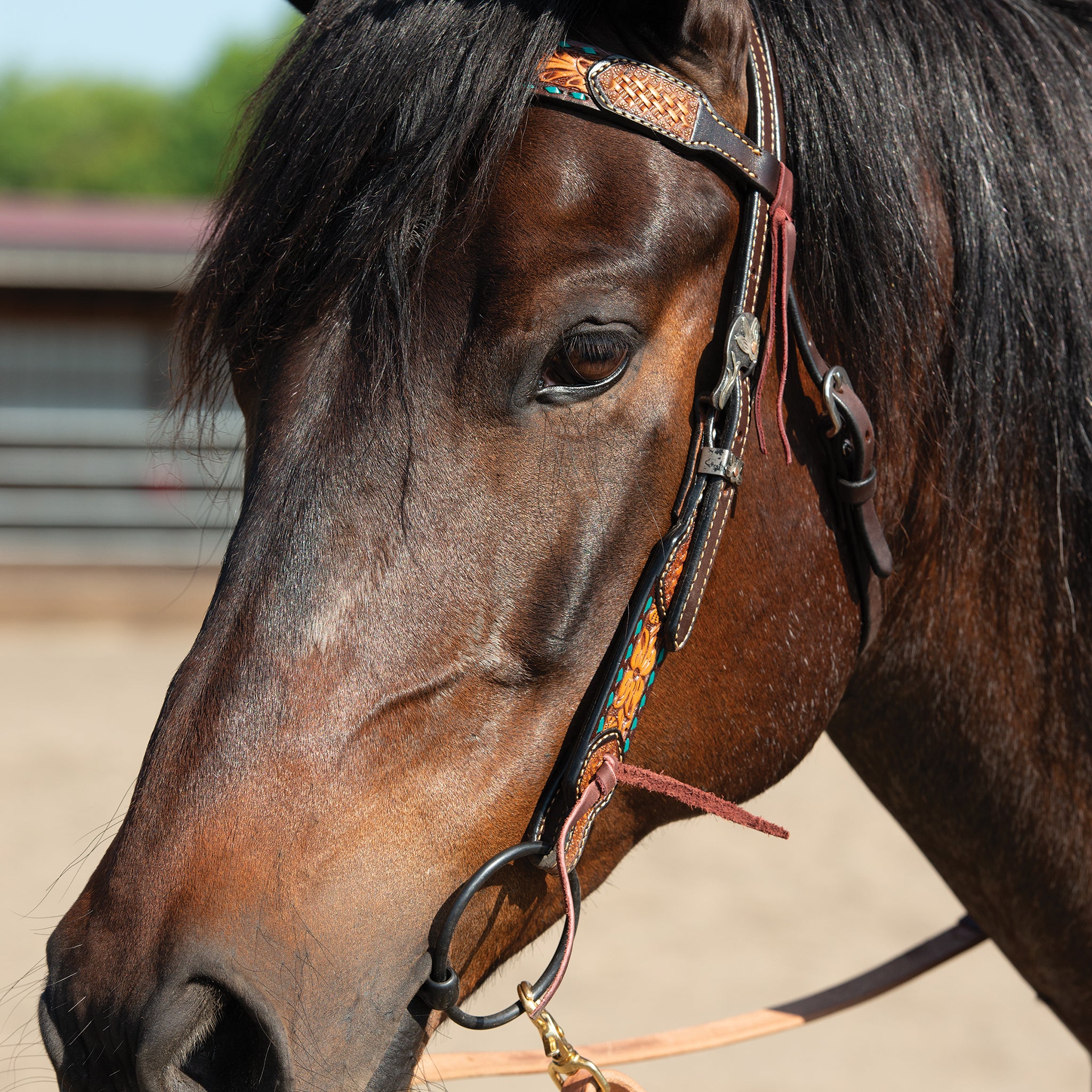 Turquoise Cross Headstall, Floral Buckstitch, 5/8