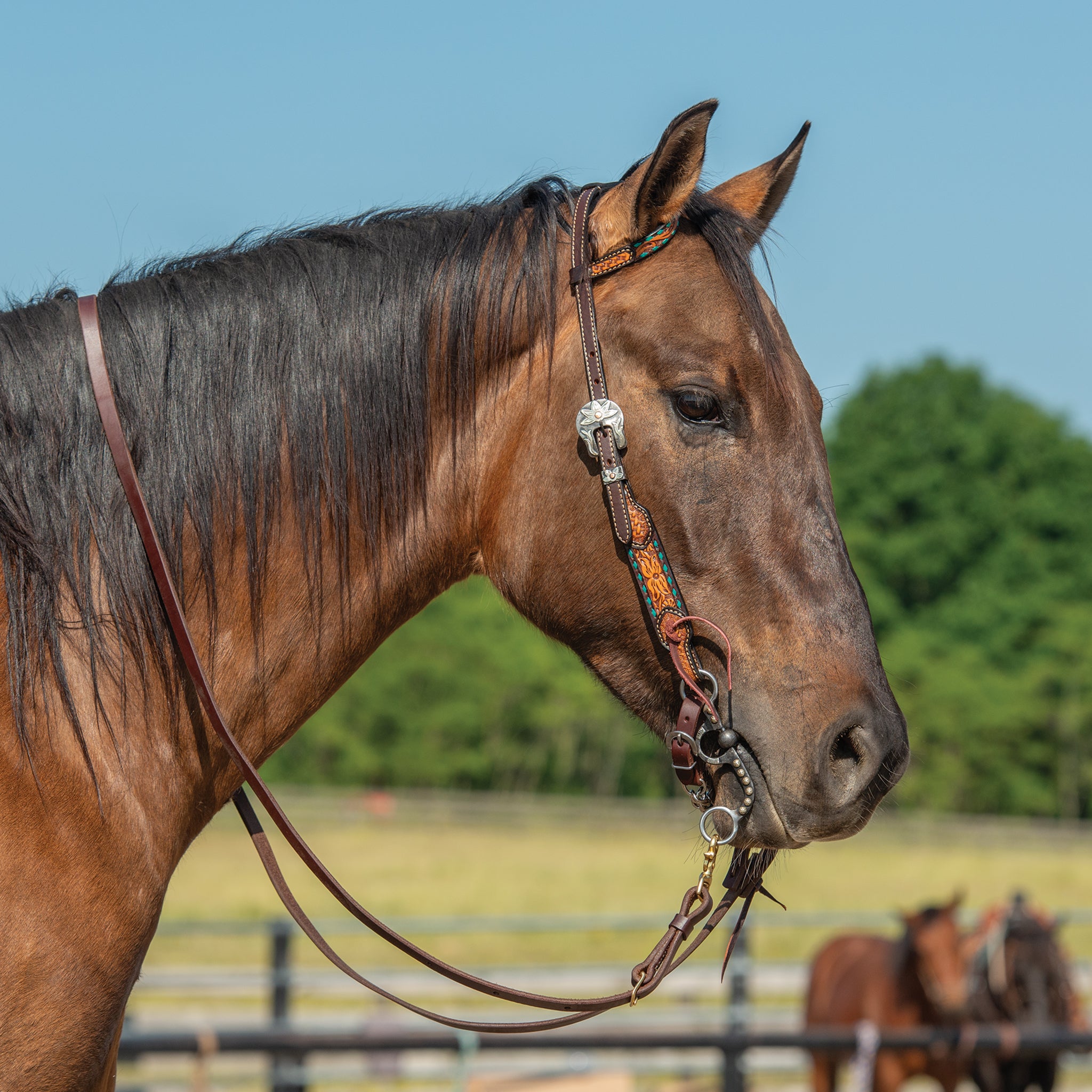 Turquoise Cross Headstall, Floral Buckstitch, 5/8