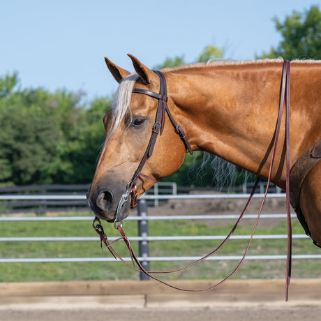 Skirting Leather Browband Headstalls, 5/8"