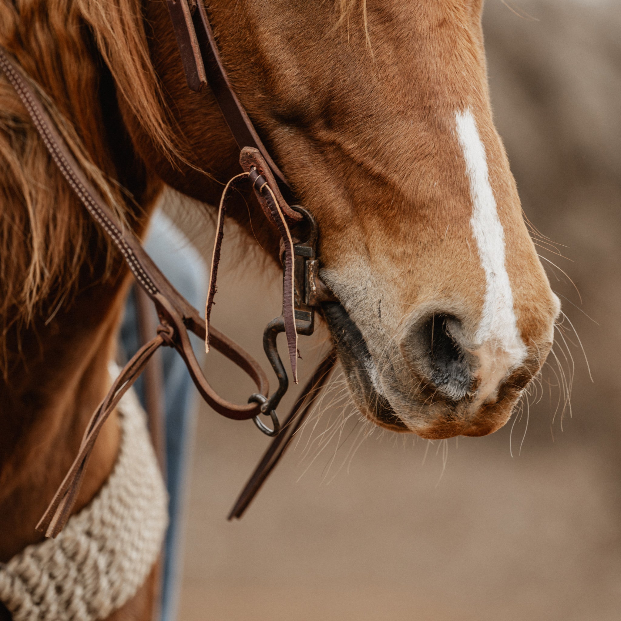 STS Ranch Signature Tack Latigo Leather Split Rein - Thumbnail 3