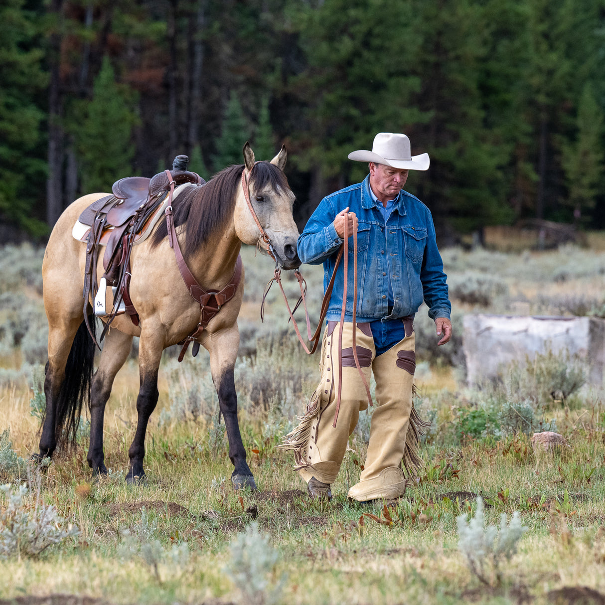 Customizable Premium Cowboy Chaps