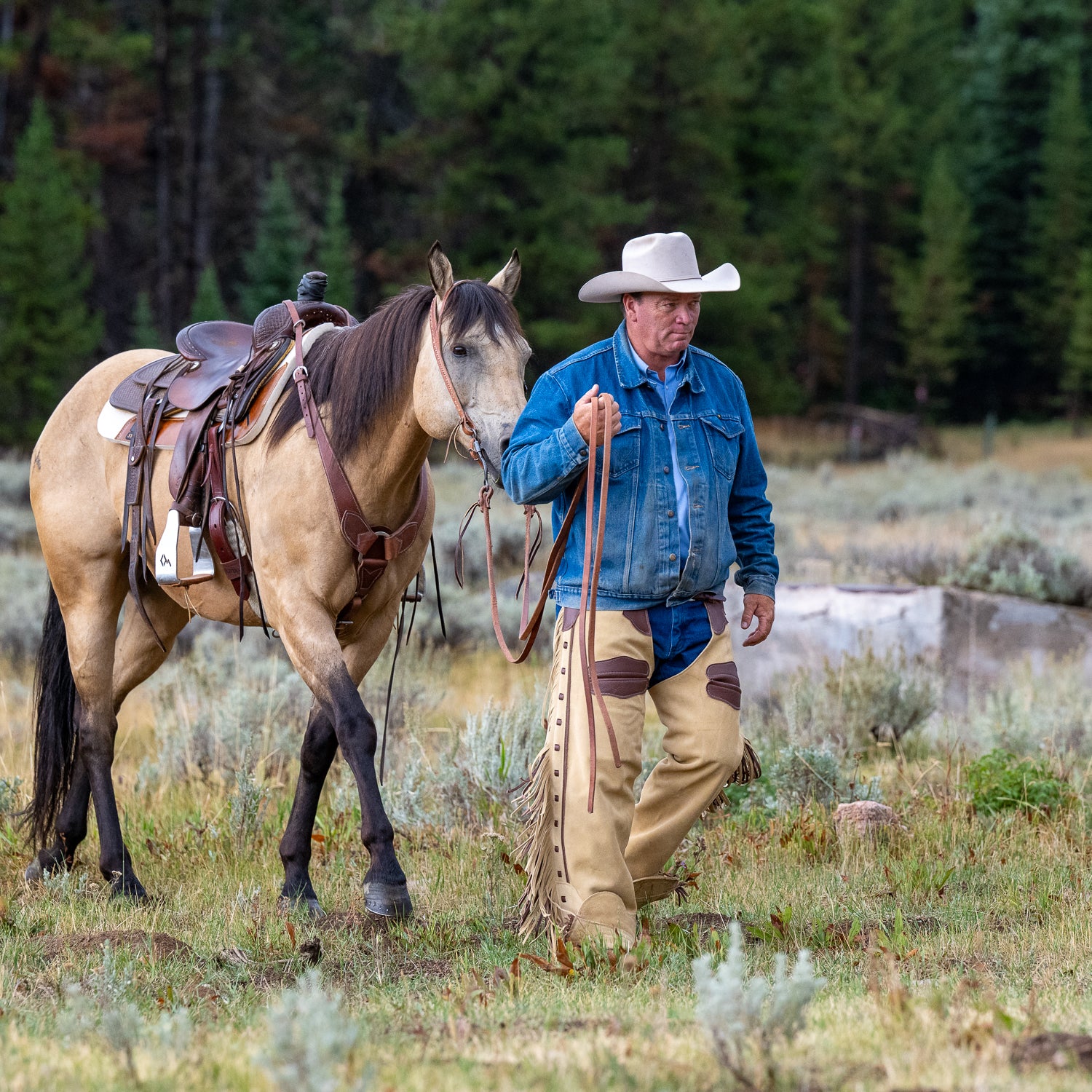Premium Cowboy Chaps