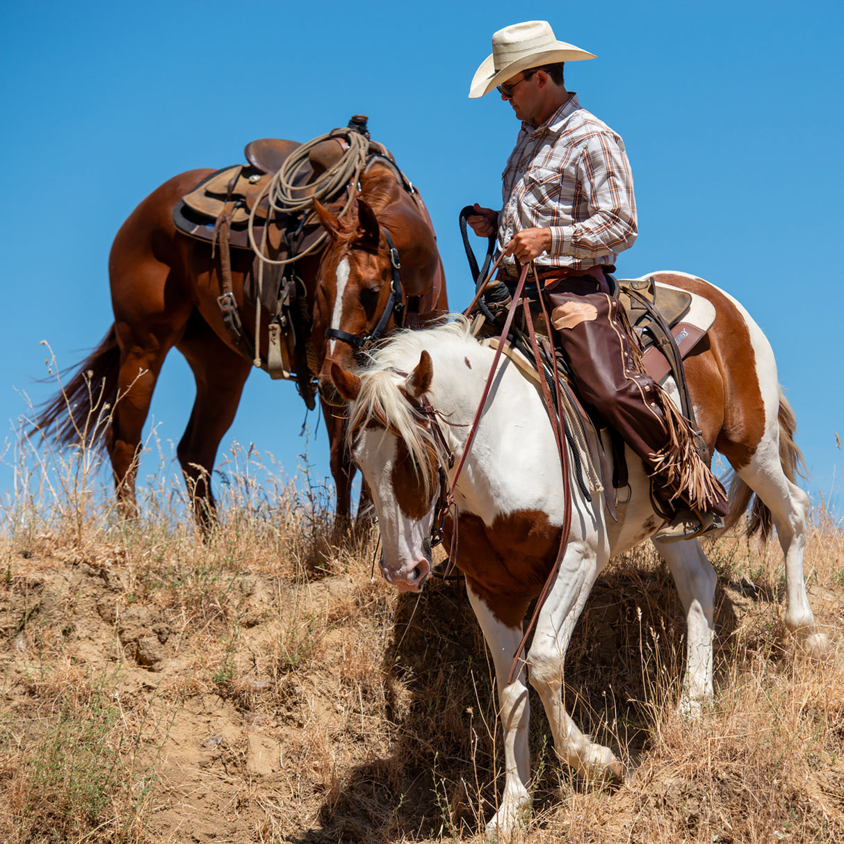 Premium Cowboy Chaps
