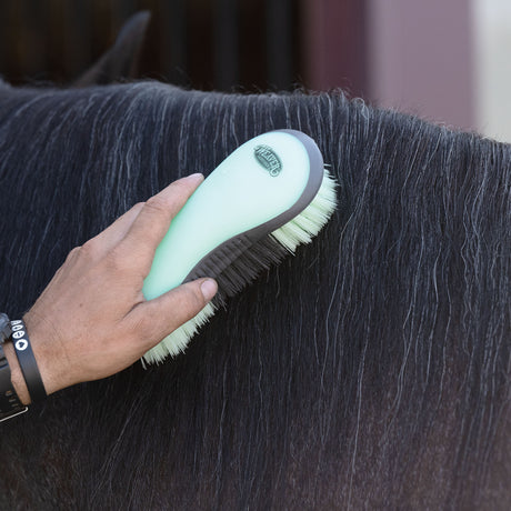 Dandy Brush