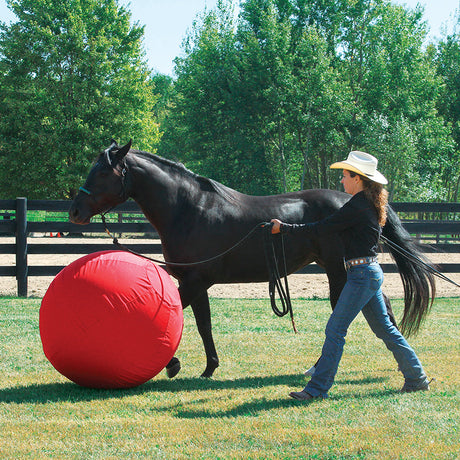 Stacy Westfall Activity Ball Cover