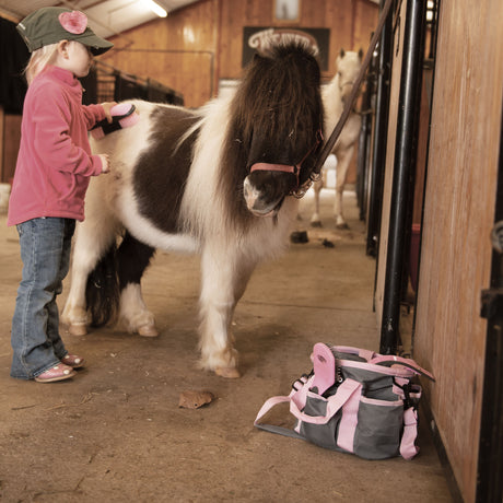 Horse Grooming Kit
