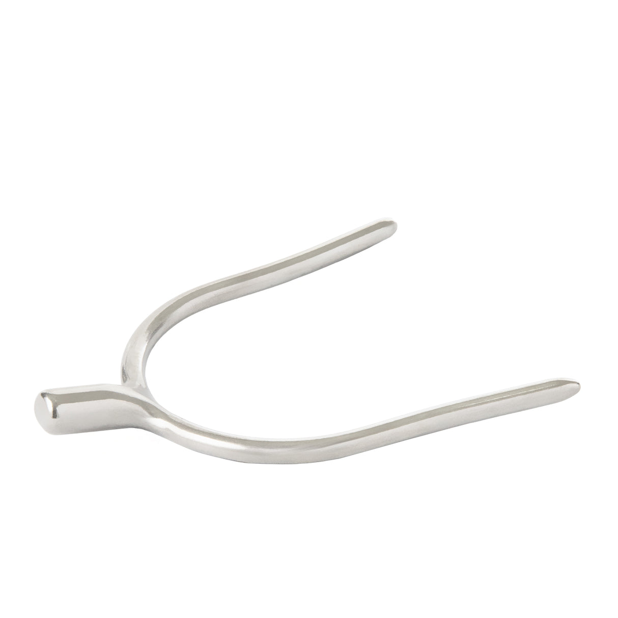 Ladies' English Spurs