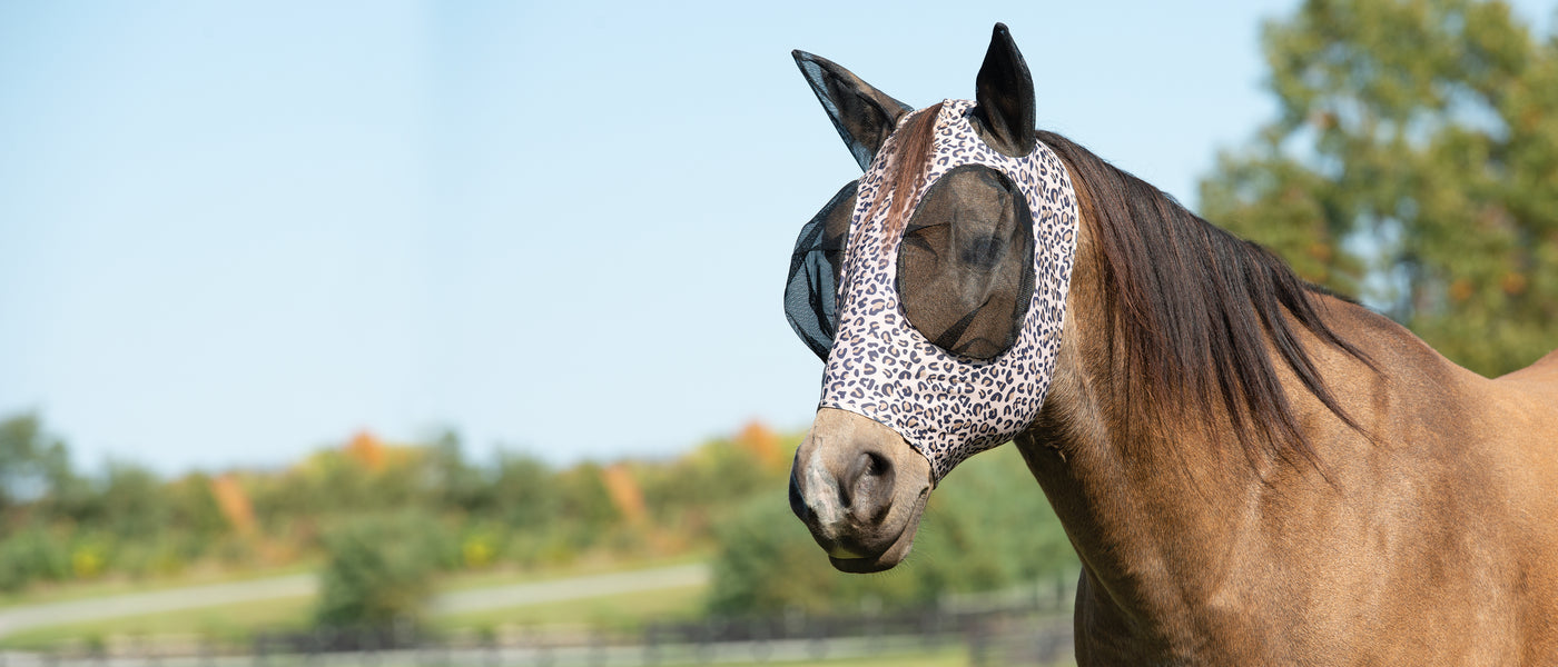 A brown horse wearing a leopard print fly mask, standing in a sunny pasture with trees in the background.