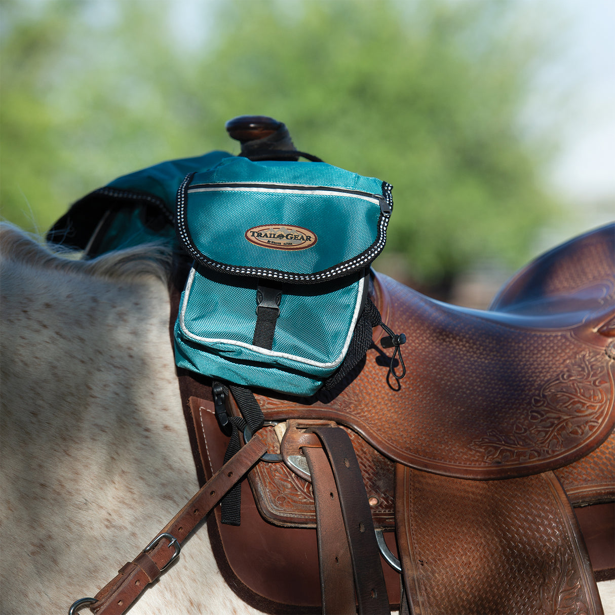 Trail Gear Pommel Bags