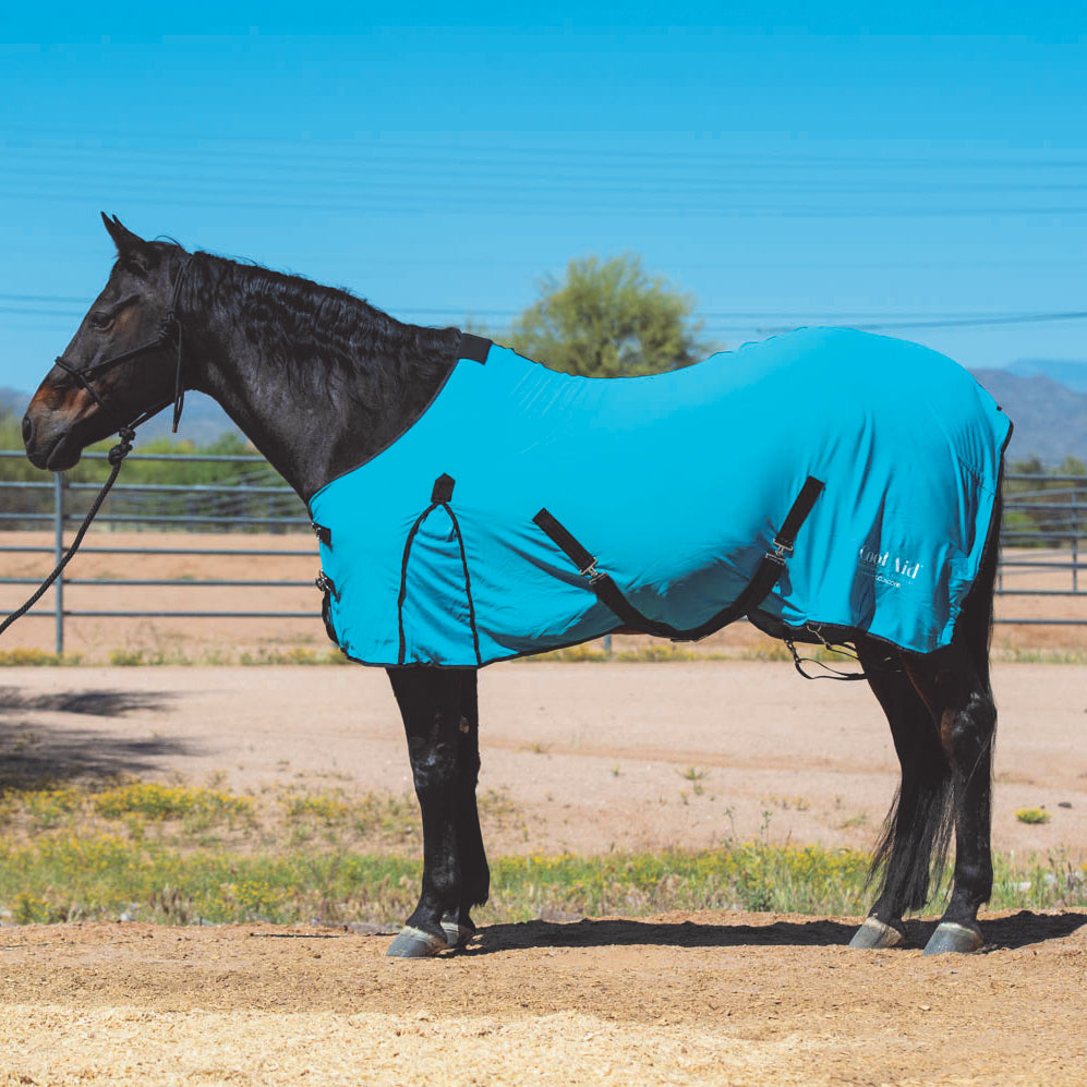 Synergy® Powered by Coolcore® Equine Cooling Blanket