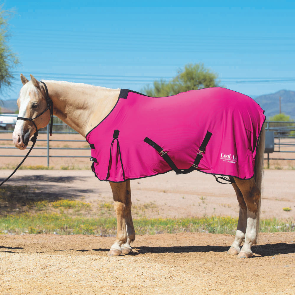Synergy® Powered by Coolcore® Equine Cooling Blanket