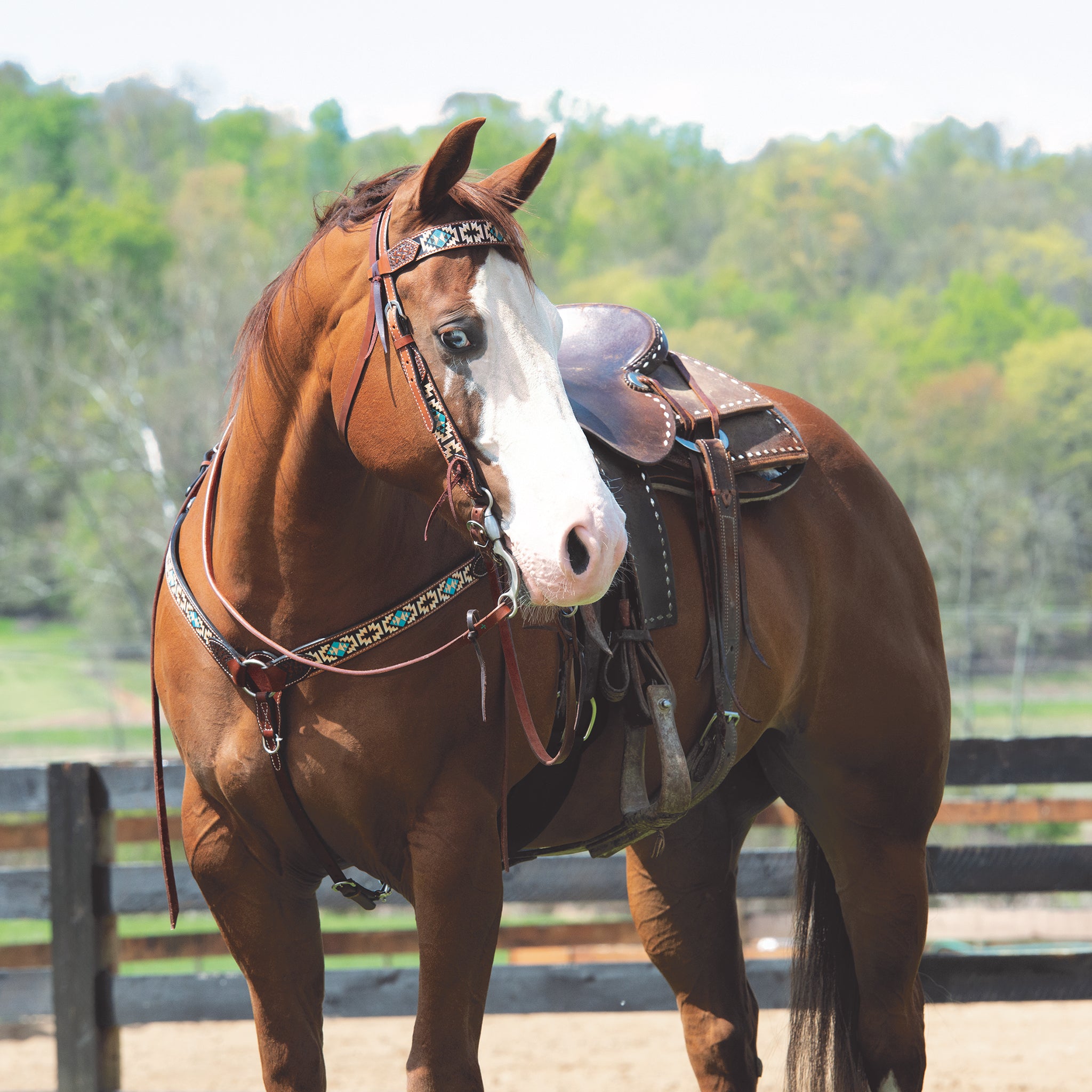 Turquoise Cross Aztec 5/8in Headstall Leather – Weaver Equine