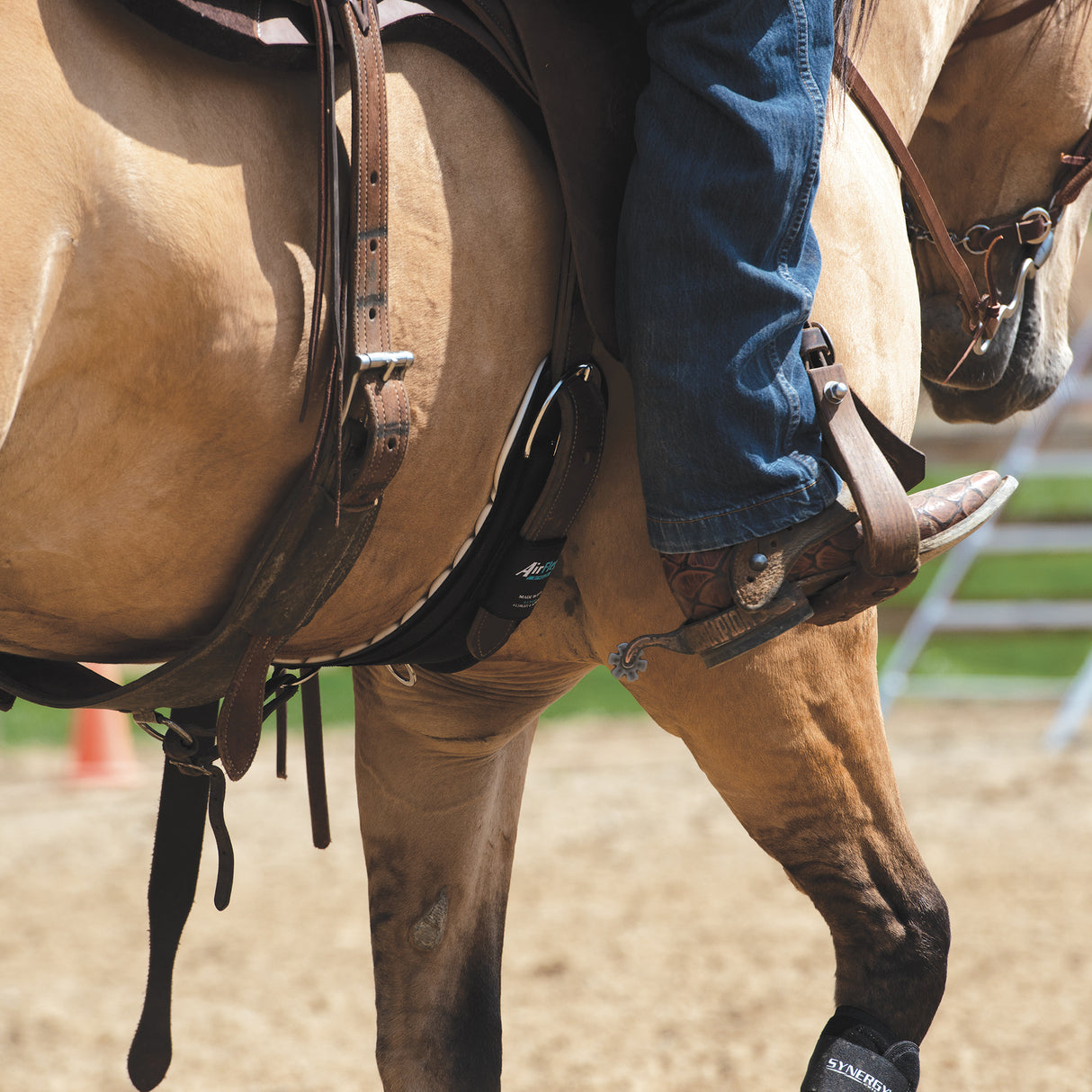 AirFlex® Cinch with Roll Snug Buckle