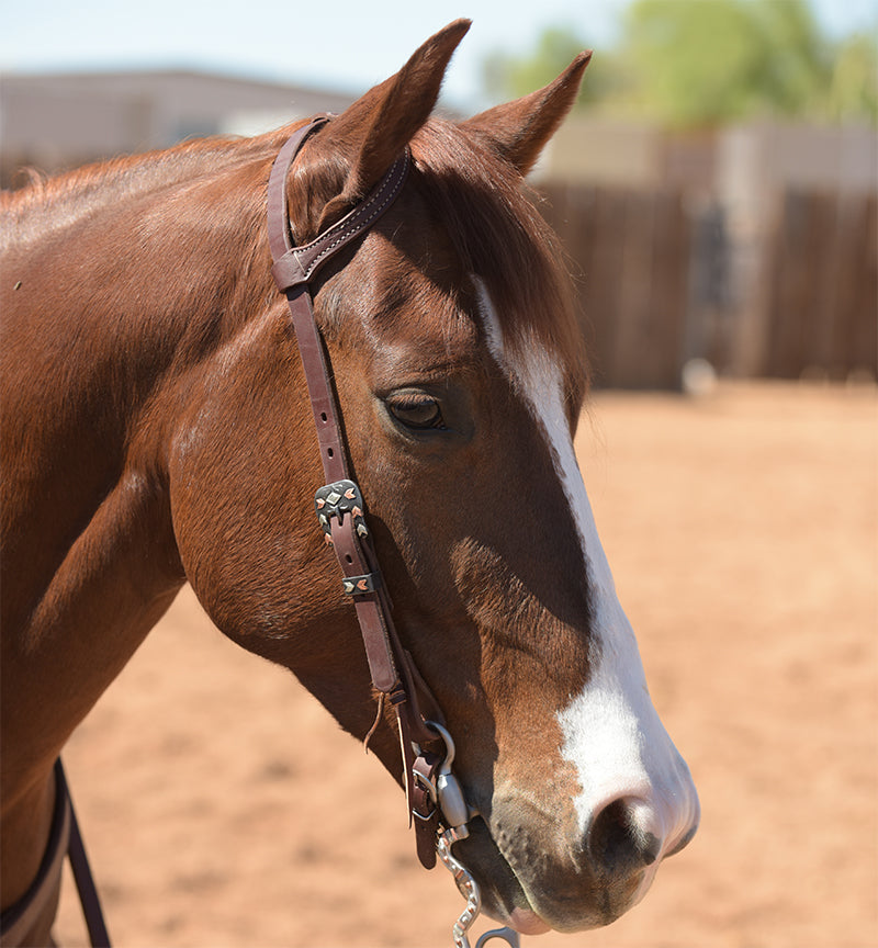 Working Cowboy Tack