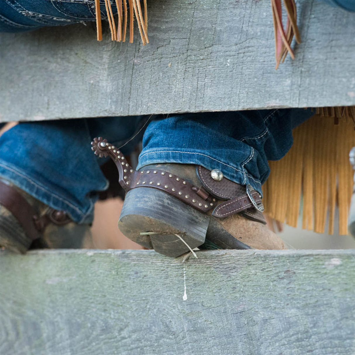 Mens Spurs with Replaceable Rowels, Dotted Accents