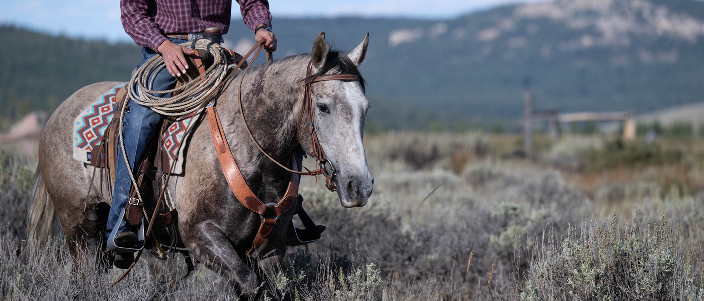 Person riding a gray horse through a sagebrush field, with mountains and blue sky in the background.