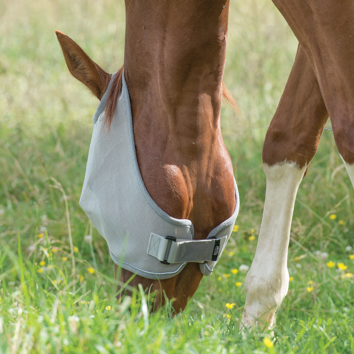 Ear Hole Fly Mask with Xtended Life Closure System