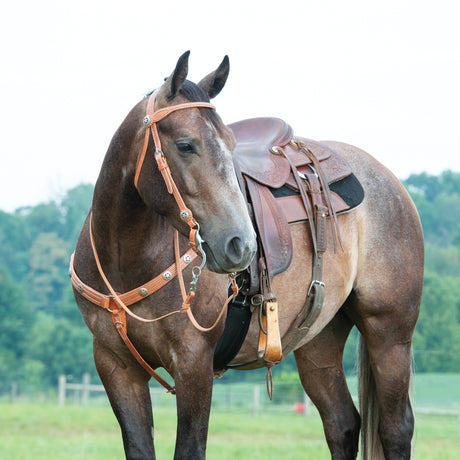 Texas Star Russet Browband Headstall