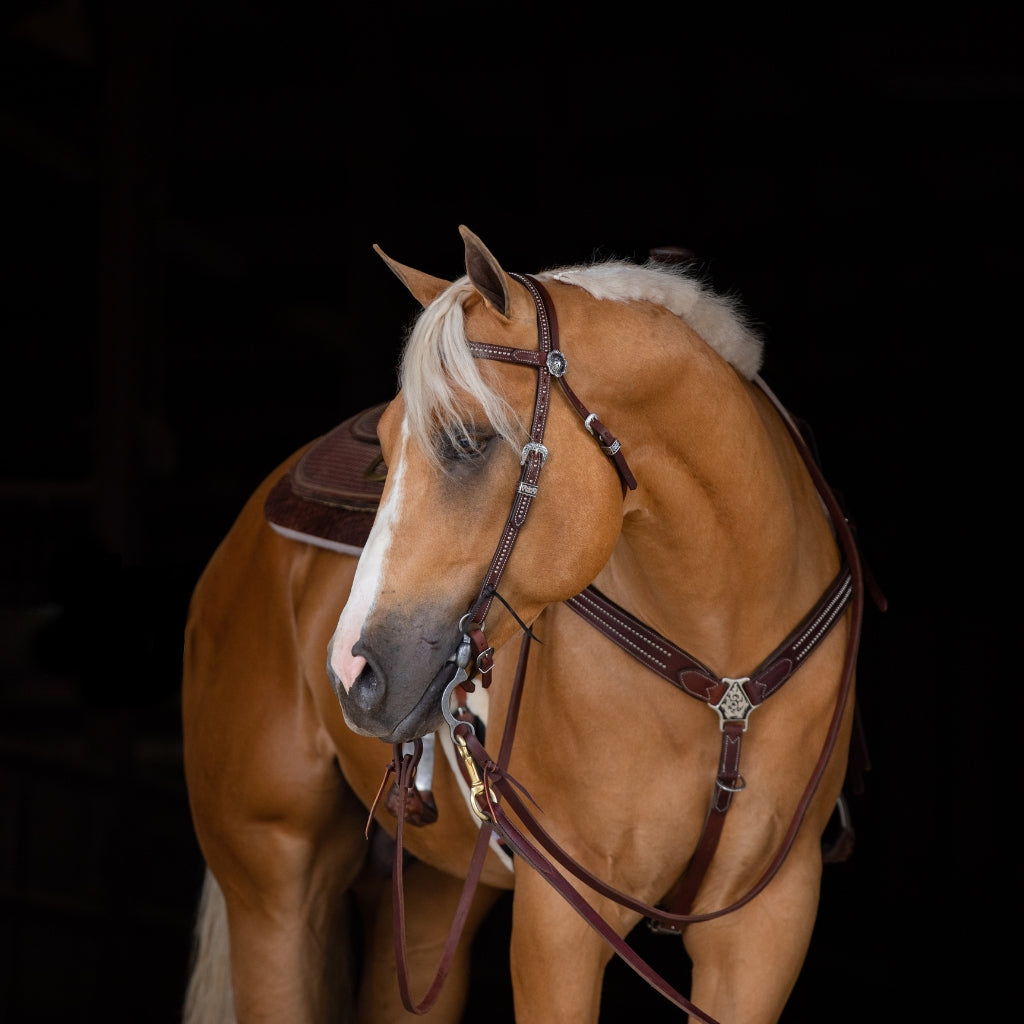 Tack Collection