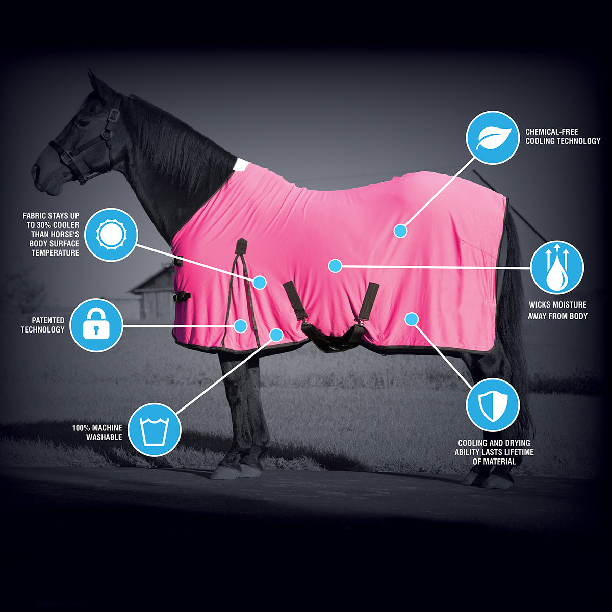 Synergy Powered by Coolcore Equine Cooling Blanket Weaver Leather Equine Weaver Equine
