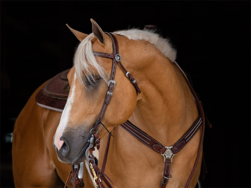 LEATHER TACK