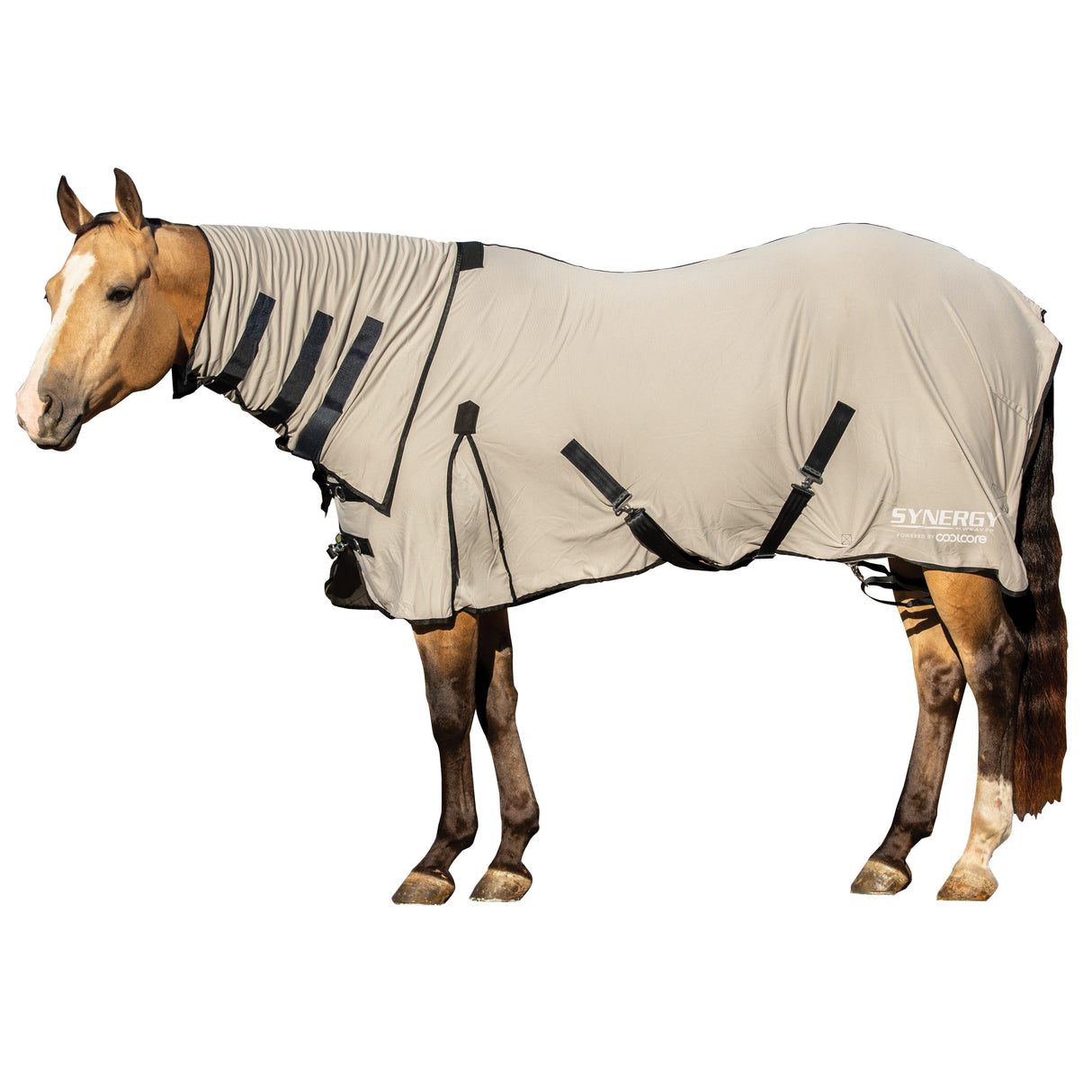 Synergy® Powered by Coolcore® Equine Cooling Blanket