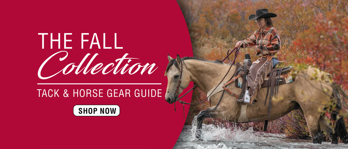 The Fall Collection Tack & Horse Gear Guide banner featuring a rider on horseback crossing a stream, with a “Shop Now” button.