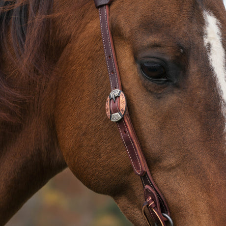 Latigo Western Headstall