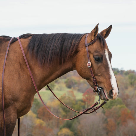 Latigo Western Headstall