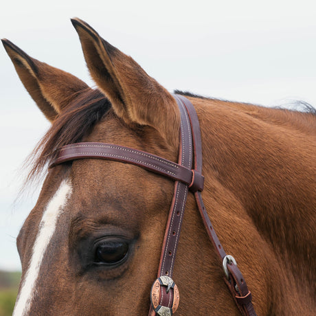 Latigo Western Headstall
