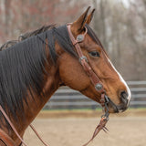 Contoured Sliding Ear Headstall
