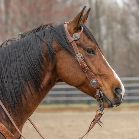 Contoured Sliding Ear Headstall