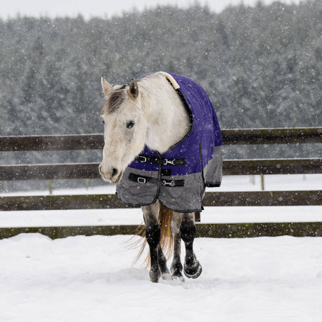 Premium Turnout Blanket, Medium Weight 200g, 600D