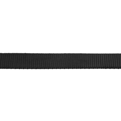 Flat Nylon Lunge Line, 1" x 30 with Snap