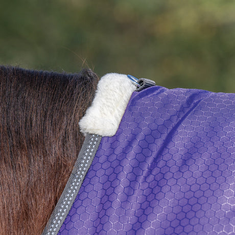 Premium Turnout Blanket, Medium Weight 200g, 600D