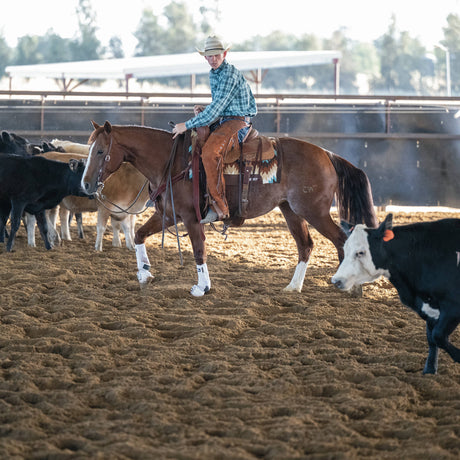 Synergy Contoured Performance Saddle Pad