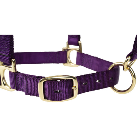 Poly Horse Halter, Adjustable, Weanling to Large