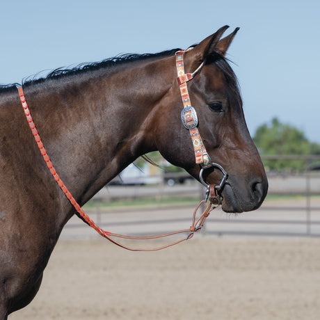 Patterned Poly Headstall