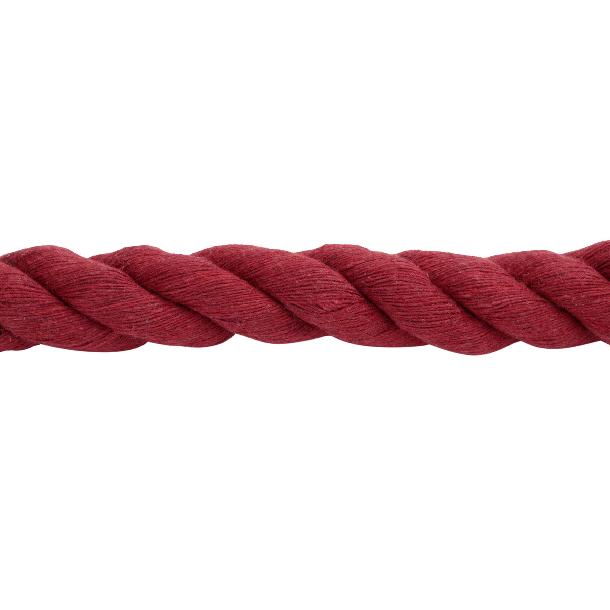 Cotton Lead Rope with Brass Plated 225 Snap, 5/8" x 10'