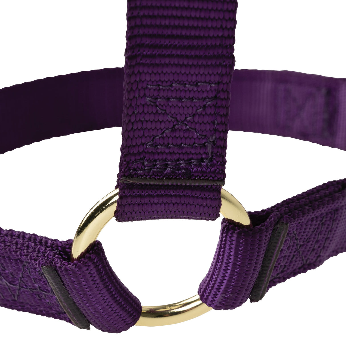 Poly Horse Halter, Non-Adjustable with Throat Snap, Weanling to Large