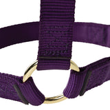 Poly Horse Halter, Non-Adjustable with Throat Snap, Weanling to Large
