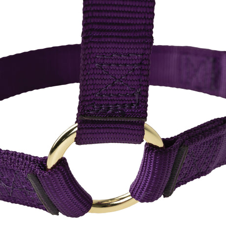 Poly Horse Halter, Non-Adjustable with Throat Snap, Weanling to Large