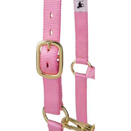 Poly Horse Halter, Adjustable, Weanling to Large