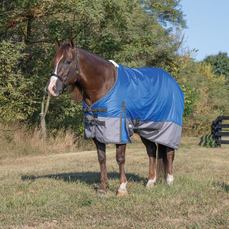 Premium Turnout Blanket, Medium Weight 200g, 600D