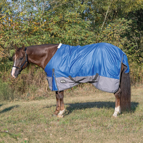 Premium Turnout Blanket, Medium Weight 200g, 600D